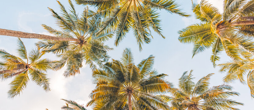 Moving from Chicago to Florida guide